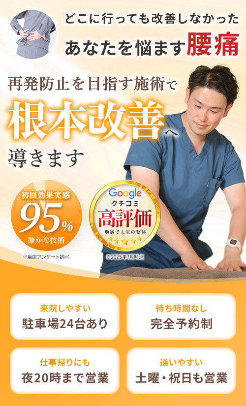 腰痛ブラッシュアップ案